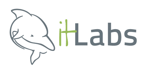 IT Labs